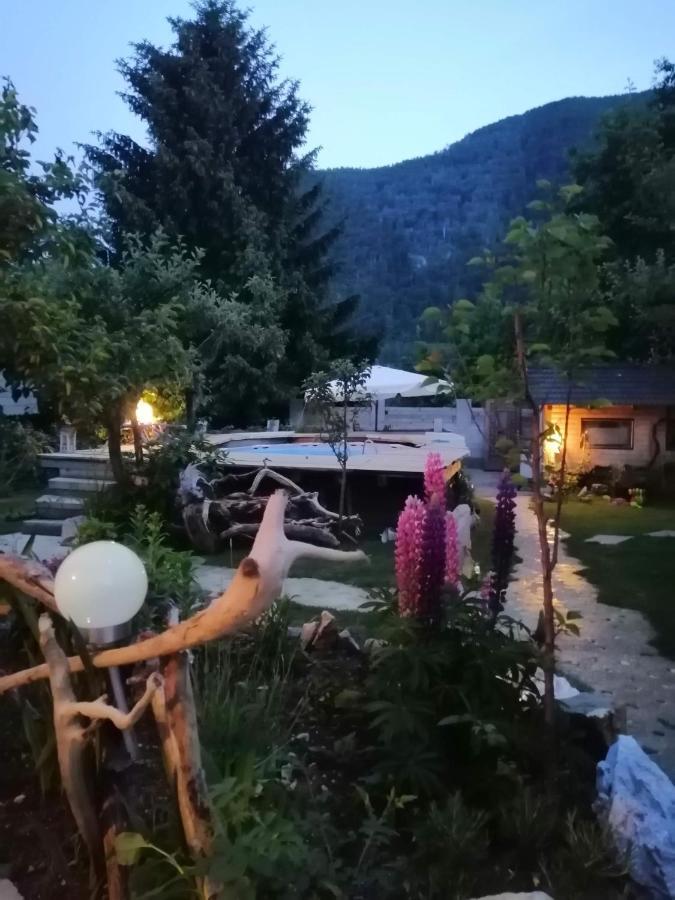 Apartma Zeus Apartment