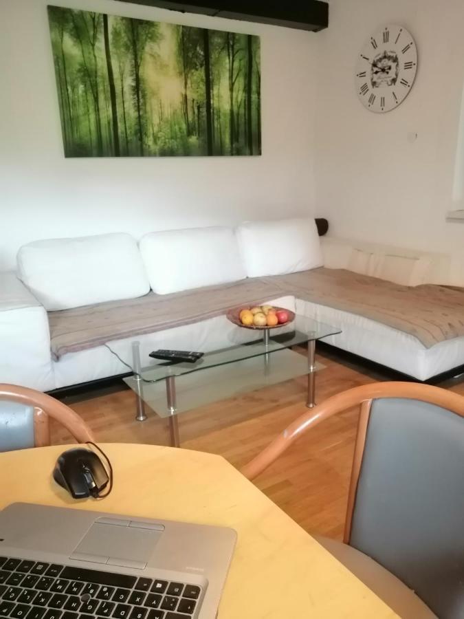 Apartma Zeus Apartment *